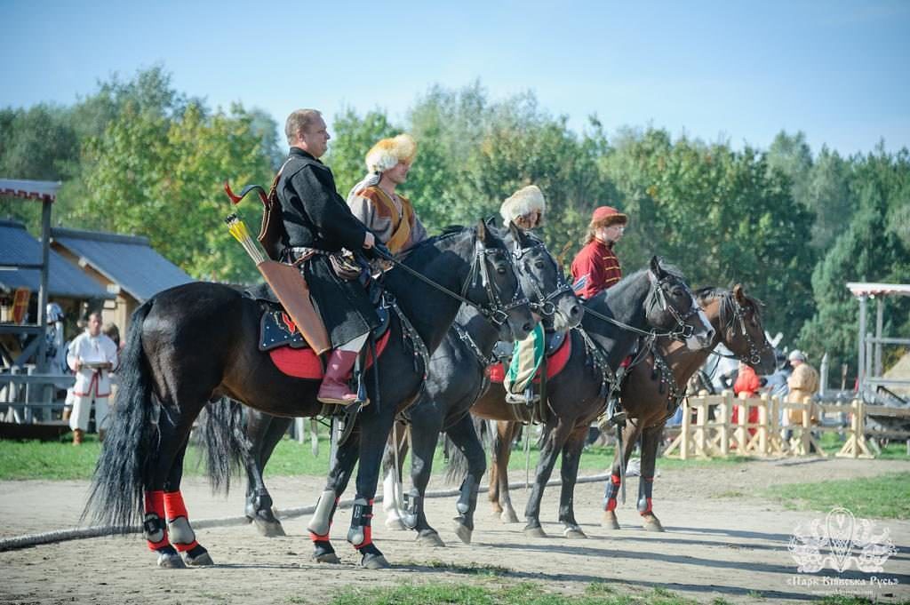 Відвідувачам представлять унікальну живу колекцію коней історичних порід